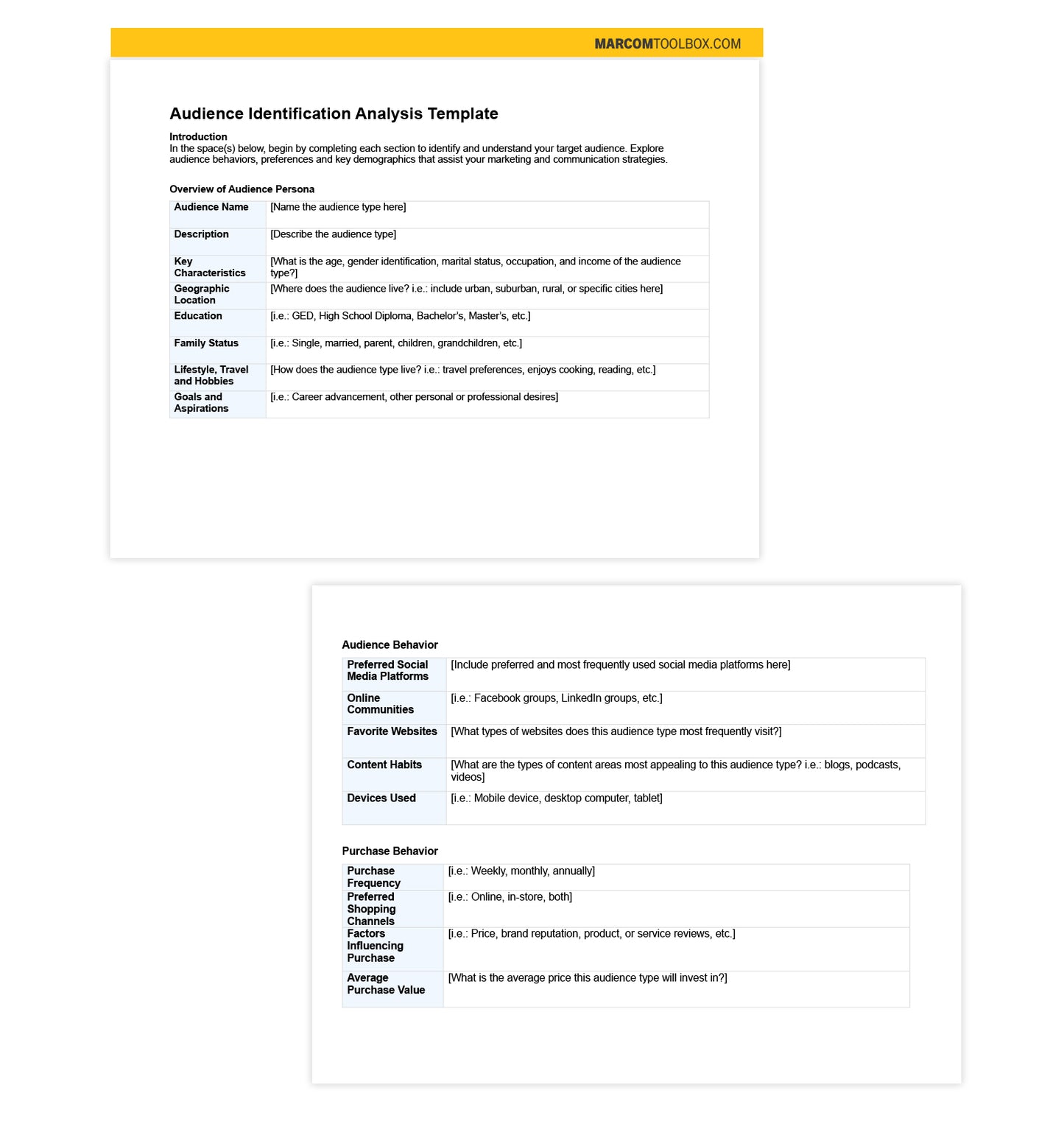 Audience Identification Analysis Template